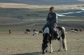 People & Animals